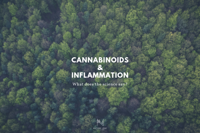 Is CBD Anti-Inflammatory? Cannabinoids & Inflammation​