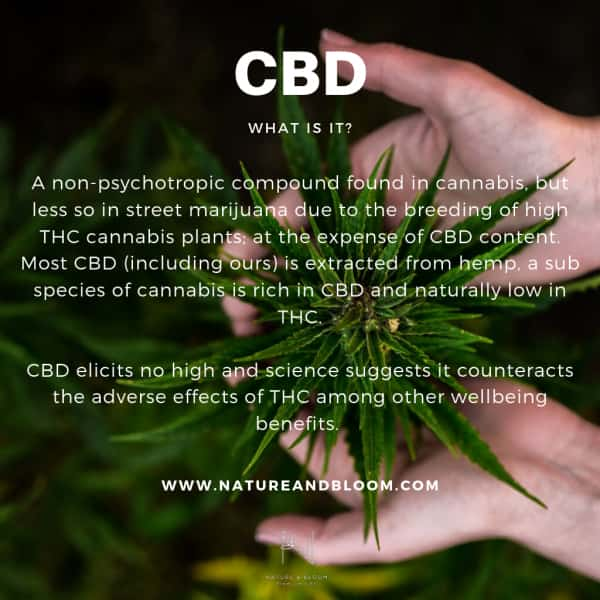 What is CBD?