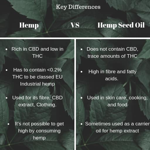 cbd oil benefits vs hemp seed