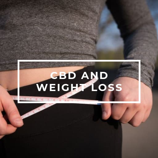 CBD oil and weight loss
