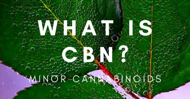 What is CBN and what are the benefits of this minor cannabinoid