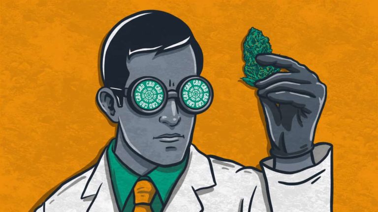 CBD Overdose: Can You Take Too Much?