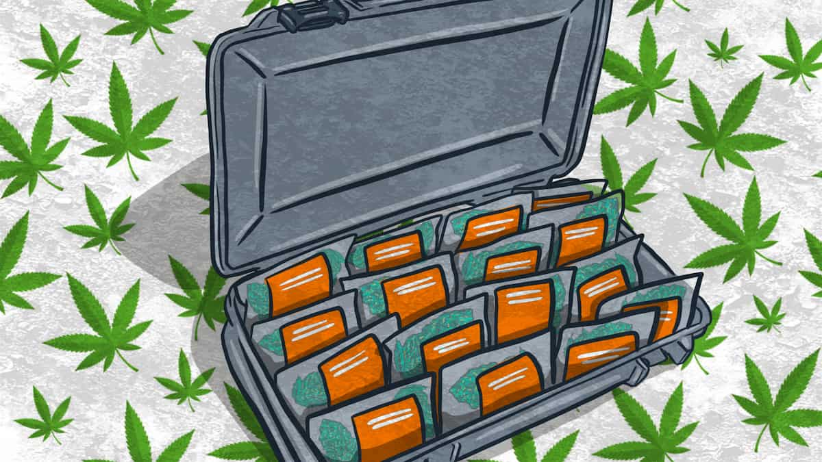los angeles cannabis delivery illustration