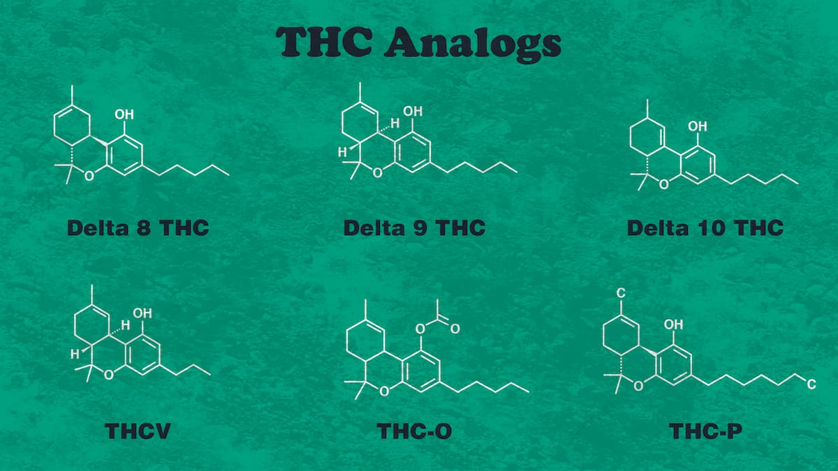 THC Analogs