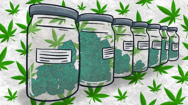 best weed of all time illustration