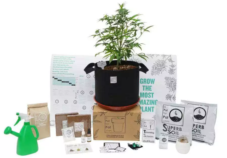 Complete Cannabis Grow Kits | A Pot for Pot