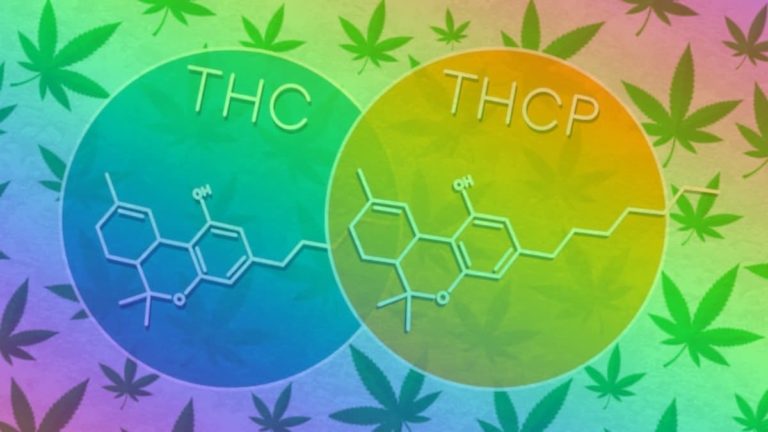THC-O VS THCP: Which Cannabinoid Is Stronger?