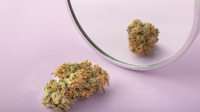 THC VS THCa Compared: Benefits, Risks and Effects