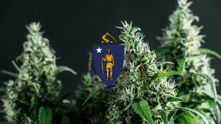 How To Get a Massachusetts (MA) Medical Marijuana Card Online