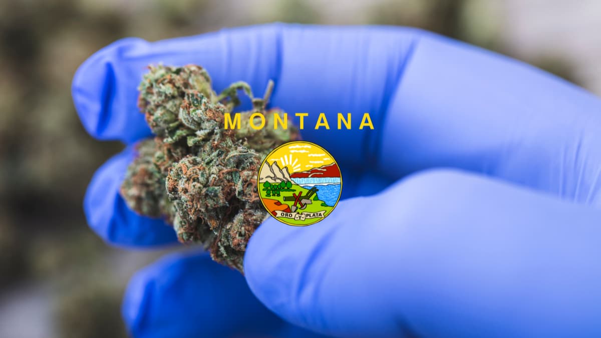 Montana Medical Card