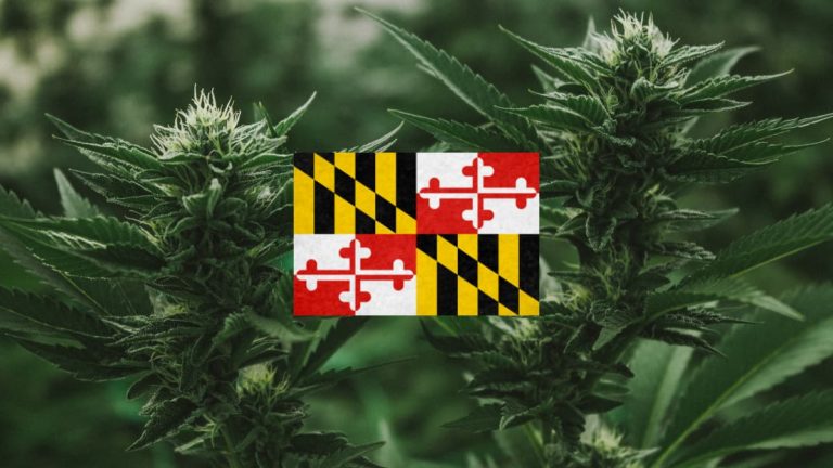 How To Get A Medical Marijuana Card Maryland Online