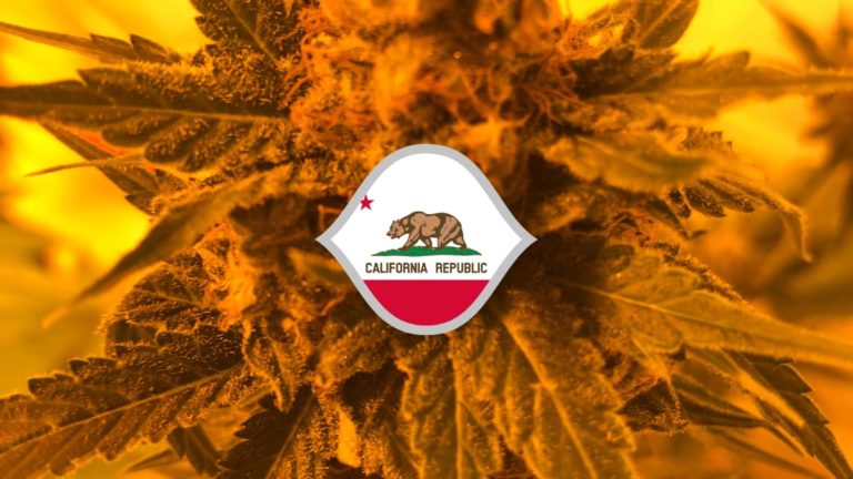 How To Get A California Medical Marijuana Card (CA)