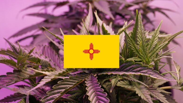 How to Get A Medical Marijuana Card In New Mexico