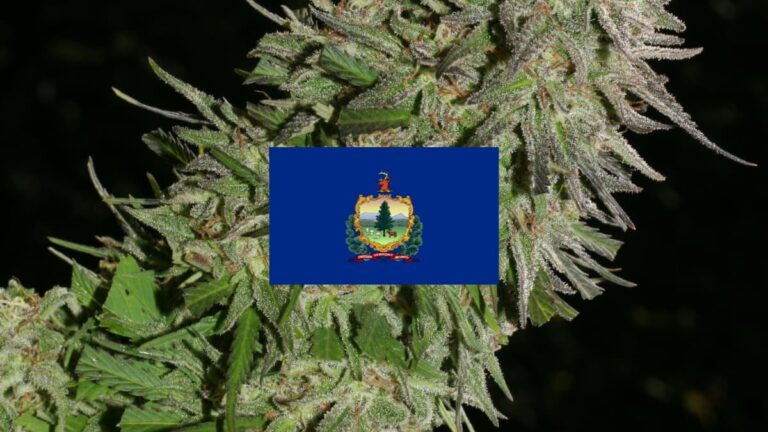 How To Get A Medical Marijuana Card In Vermont