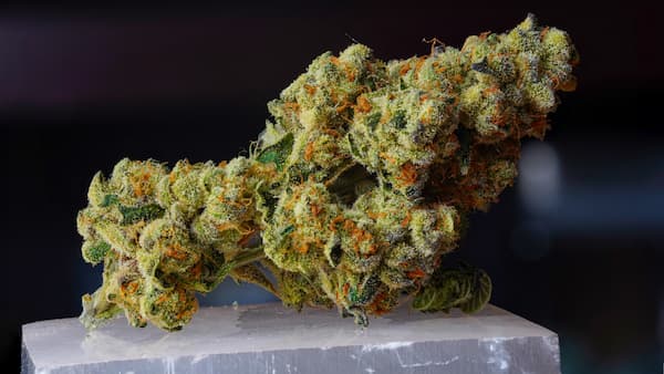 decarbing trichomes