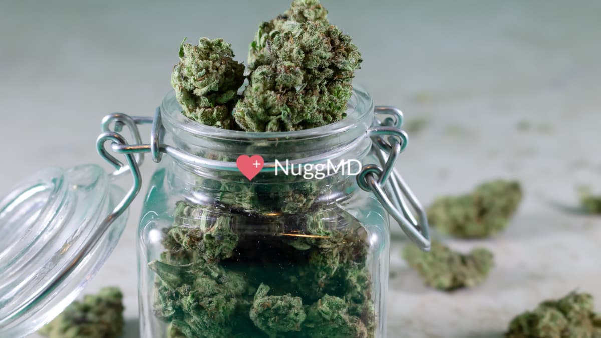 NuggMD medical card review