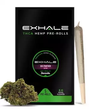 Hemp THCA Pre Rolls | Exhale Well