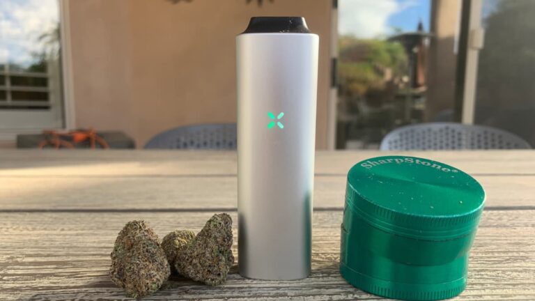 Pax Mini Review: Tried & Tested