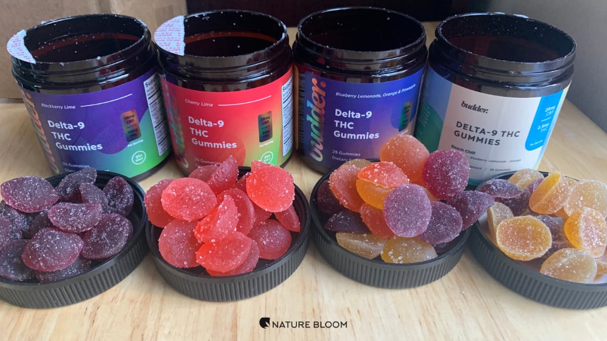 Budder D9 Edibles